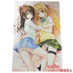 2026年最新】toloveる 原画展 ポストカードの人気アイテム - メルカリ