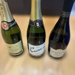 白ワイン スパークリング 3本セット cava brutのサムネイル