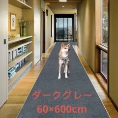 Item thumbnail for item 53aaf994-4980-4a8d-a732-f4d1158ee0c9