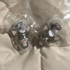 JOCHUM めじるしアクセサリー　チュララ