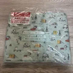 スヌーピー　エコバッグ　プラプレート　セット（バラ不可）