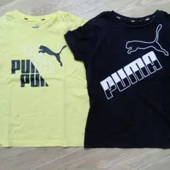 PUMA Tシャツ 2枚セット 黄色・黒　140cm