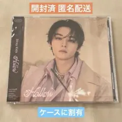 【即購入可】Stray Kids Hollow FC盤 リノ