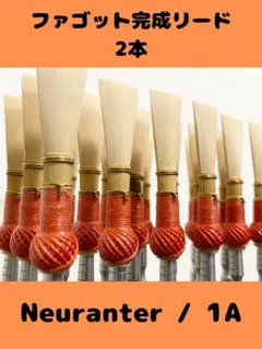 Item thumbnail for item 7a06a2e7-ea94-4d93-a95b-3351e425b8f7