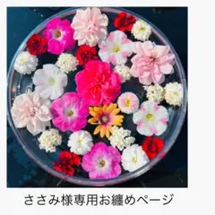 『ささみ様専用』セールお纏めページ