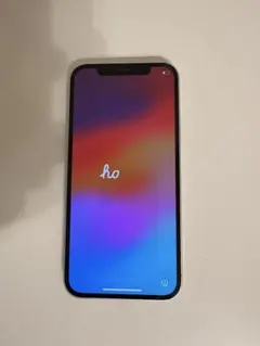 Apple iPhone 12 本体