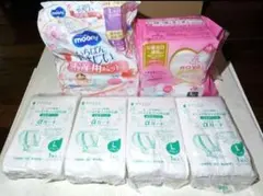 Item thumbnail for item ec2aeda7-42ed-4c95-8ccf-2c176ae1b7c6