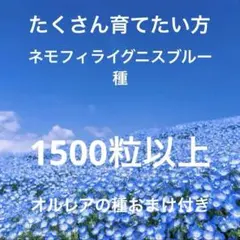ゆぅ様 リクエスト 2点 まとめ商品
