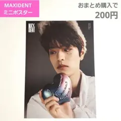 straykids maxident スンミン ミニポスター - メルカリ
