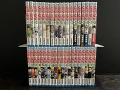 HUNTER×HUNTER(1巻〜38巻) 初版、チラシ付き多数