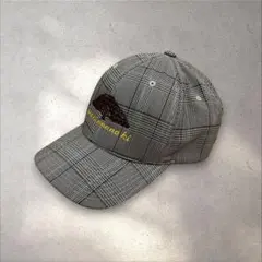 激レア　90s 00s FLEXFIT この木なんの木　キャップ　グレンチェックのサムネイル