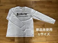 Item thumbnail for item 42dac696-40f0-4d07-84b9-5b76fdc663e4