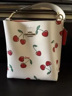 COACH スモール タウン バケット バッグ　ハートチェリー