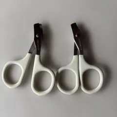 Item thumbnail for item 81a8b258-07cd-4f91-bf2a-6549fbdd222c