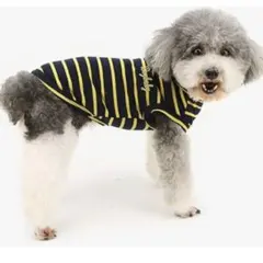 Item thumbnail for item 388caba4-1b79-4779-8a7f-fd3065a00200