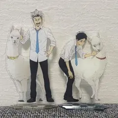 ハイキュー 東武動物公園 2025年コラボ　アクリルスタンド　赤葦　木兎