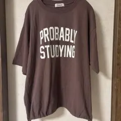 Enlude 今期　ロゴドロストTシャツ ブラウン　フリーサイズのサムネイル