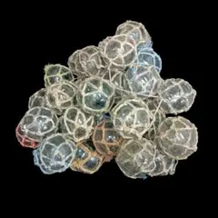 Item thumbnail for item ab398814-23cb-41cd-a5a0-50c64dba261b