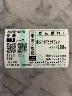 ハヤブササキチャン 第31回 秋華賞 現地応援馬券
