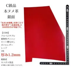 Item thumbnail for item 973b93e5-81d9-4f56-84ae-f75ab8e9bd5d