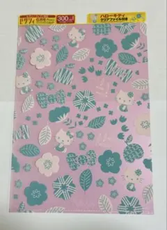 ゼクシィ6月号　雑誌付録　ハローキティ　クリアファイル　限定