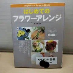 Item thumbnail for item 51d8dd78-7bc7-404b-9b27-7e1ca97faaf9