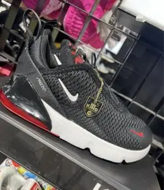 Item thumbnail for item a863ea4c-02de-4964-9cdc-2b7fd630410f