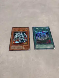 遊戯王 ブルーアイズ・トゥーン・ドラゴン トゥーン・ワールド 2枚セット