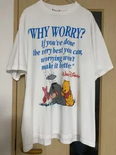 激レア】90s Disney POOH Tシャツ WHY WORRY？ 赤タグ - メルカリ