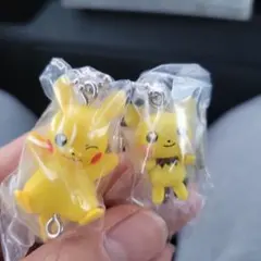 ポケモン つまんでつなげてマスコット 2点