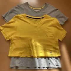 POLO RALPH LAUREN VネックTシャツ L グレー とイエロー