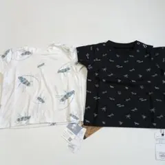 INSECT COLLECTION Tシャツ 2枚セット カミキリ虫 昆虫のサムネイル