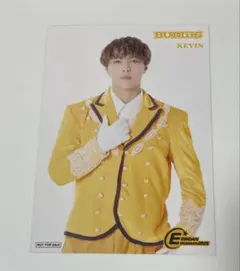 BUDDiiS KEVIN EBiDAN museum 入場特典 前半