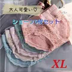 【値下げ中♪】ショーツ5枚組 レディース 深履き 温活 レースデザイン XL