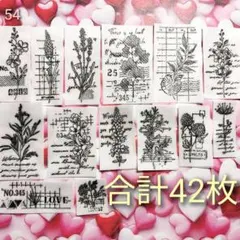 Item thumbnail for item 055acc7e-3ccd-4fe8-9c23-e1a524e6f95d