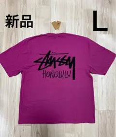 2026年最新】新品 ハワイ限定 stussyの人気アイテム - メルカリ