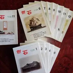 光る石ガイドブック : 蛍光鉱物の不思議な世界 - メルカリ