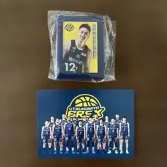 宇都宮ブレックス 高島紳司選手 ミニチュアアートイーゼル・トレカセット