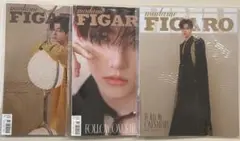 madame FIGARO ZB1ジャンハオ　中国雑誌せット　和訳付き