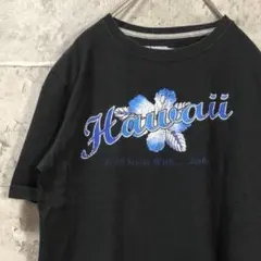 HAWAII ハイビスカス USA輸入 雰囲気抜群 Tシャツ