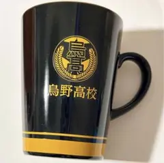 烏野　マグカップ ハイキュー After School