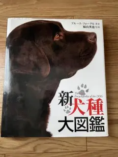 Item thumbnail for item aa744623-5fd8-42a4-839a-96e4d625e0d5