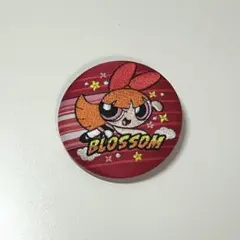 パワーパフガールズ 缶バッジ