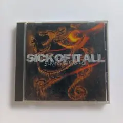 ゴリラ丸様 リクエスト 2点 まとめ商品