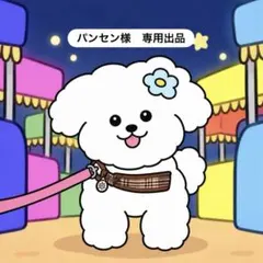 パンセン様　専用出品