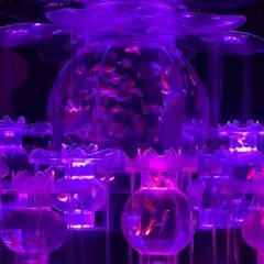 Item thumbnail for item 81dc0fc4-70ee-47ba-b028-2f0661d6630e