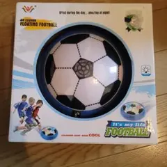 Item thumbnail for item 68d3cae0-6e17-43f7-a3d2-f7869101698f