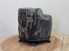産地限定】北海道 遠軽瀬戸瀬産 珪化木 5.4kg 鑑賞石 木化石 銘石 原石