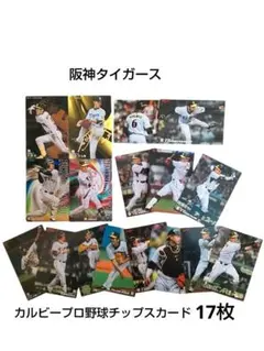 Item thumbnail for item 61094945-6a17-42b0-9f50-b1f3c65773cc