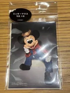 ゆかり様 リクエスト 2点 まとめ商品